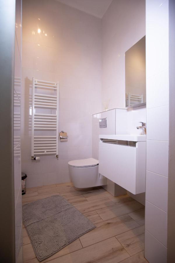 Alessia Apartment In The Old Town Timisoara Esterno foto